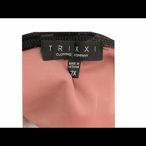 Trixxi Floral‎ Velvet Mesh Velvet Dress Pink 2X Plus - Picture 3 of 13